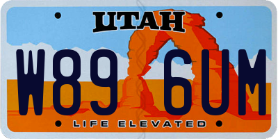 UT license plate W896UM