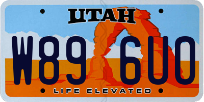 UT license plate W896UO