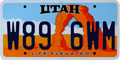 UT license plate W896WM