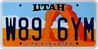 UT license plate W896YM