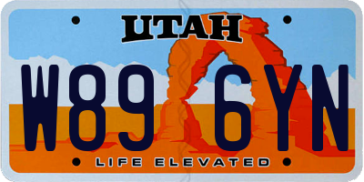 UT license plate W896YN