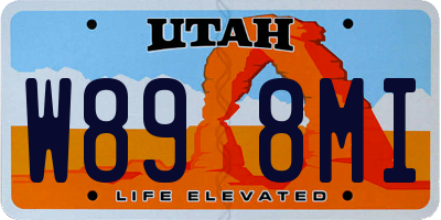 UT license plate W898MI