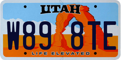UT license plate W898TE