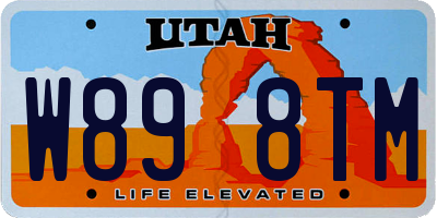 UT license plate W898TM