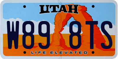 UT license plate W898TS