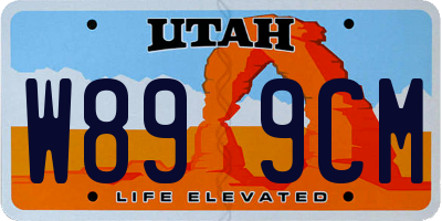 UT license plate W899CM