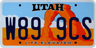 UT license plate W899CS