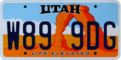 UT license plate W899DG