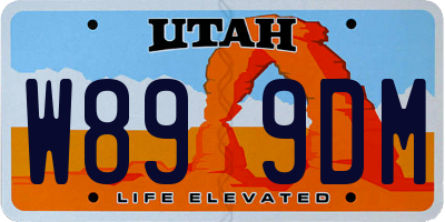 UT license plate W899DM