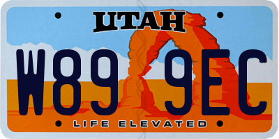 UT license plate W899EC