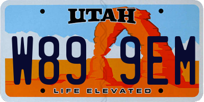 UT license plate W899EM