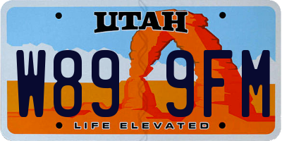 UT license plate W899FM