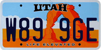 UT license plate W899GE