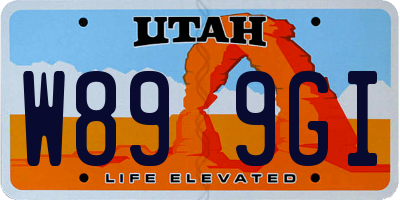UT license plate W899GI