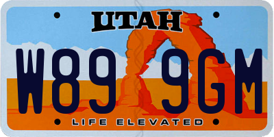 UT license plate W899GM