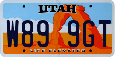 UT license plate W899GT