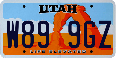 UT license plate W899GZ