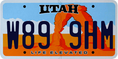 UT license plate W899HM