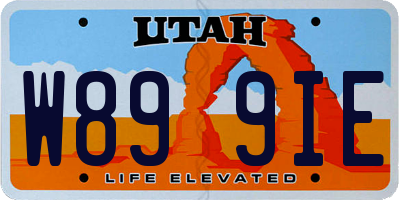 UT license plate W899IE