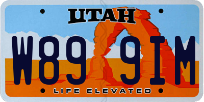 UT license plate W899IM