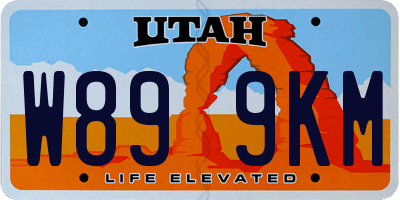 UT license plate W899KM