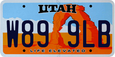 UT license plate W899LB