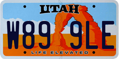 UT license plate W899LE