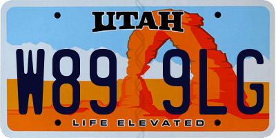 UT license plate W899LG