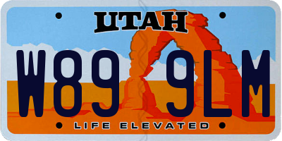 UT license plate W899LM