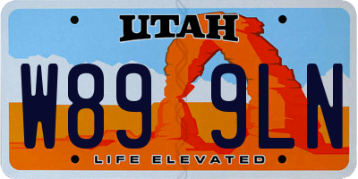 UT license plate W899LN