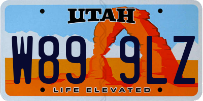 UT license plate W899LZ
