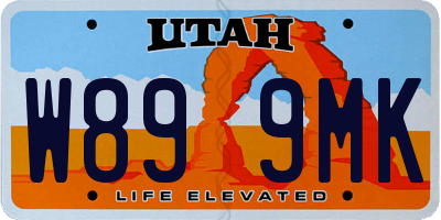UT license plate W899MK