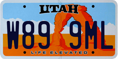 UT license plate W899ML