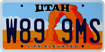 UT license plate W899MS