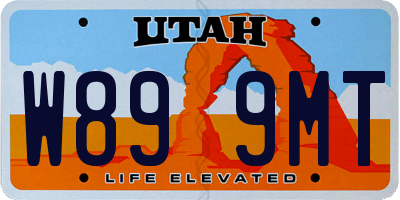 UT license plate W899MT