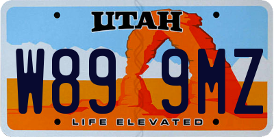UT license plate W899MZ