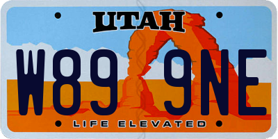 UT license plate W899NE