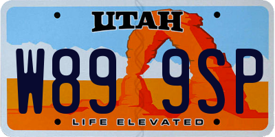 UT license plate W899SP