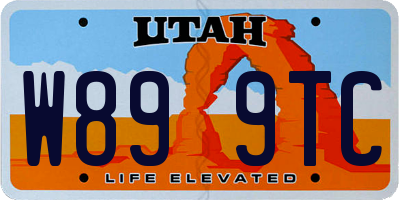 UT license plate W899TC