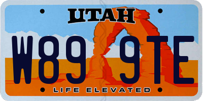 UT license plate W899TE
