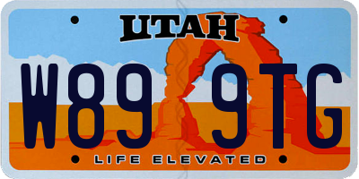 UT license plate W899TG