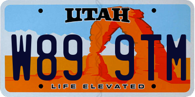 UT license plate W899TM