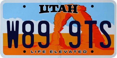 UT license plate W899TS