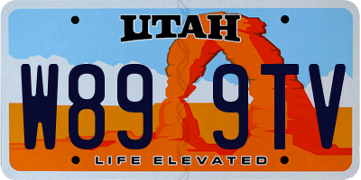 UT license plate W899TV