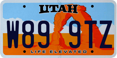 UT license plate W899TZ