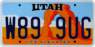 UT license plate W899UG