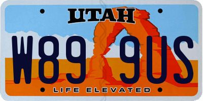 UT license plate W899US