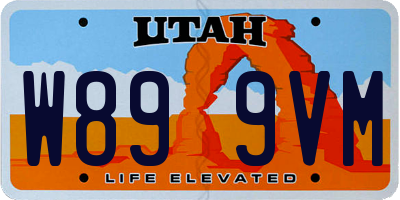 UT license plate W899VM