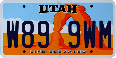 UT license plate W899WM