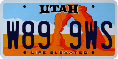 UT license plate W899WS